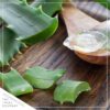 Live Healthy and Large Aloe in Deco Cover - 16" Tall by 10" Wide - Naturally Improves Air Quality - Image 8