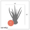 Live Healthy and Large Aloe in Deco Cover - 16" Tall by 10" Wide - Naturally Improves Air Quality - Image 12
