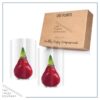 Waxed Amaryllis Bulb - Red Wax, Blooms Red (2 Plants Per Pack) - Easy Care - No Watering Needed! Beautiful Holiday Decor - Image 11