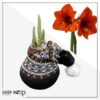 Waxed Amaryllis Bulb in Black Festive Stocking (Red Bloom) - Easy Care - No Watering Needed! Beautiful Holiday Decor - Image 12