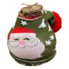 Waxed Amaryllis Bulb in Green Santa Stocking (Red Bloom) - Easy Care - No Watering Needed! Beautiful Holiday Decor