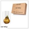 Waxed Amaryllis Bulb - Gold Wax, Blooms Red - Easy Care - No Watering Needed! Beautiful Holiday Decor - Image 15