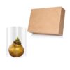 Waxed Amaryllis Bulb - Gold Wax, Blooms Red - Easy Care - No Watering Needed! Beautiful Holiday Decor - Image 20