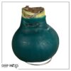 Waxed Amaryllis Bulb - Green Wax, Blooms Red - Easy Care - No Watering Needed! Beautiful Holiday Decor - Image 16