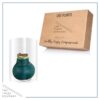 Waxed Amaryllis Bulb - Green Wax, Blooms Red - Easy Care - No Watering Needed! Beautiful Holiday Decor - Image 10