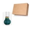 Waxed Amaryllis Bulb - Green Wax, Blooms Red - Easy Care - No Watering Needed! Beautiful Holiday Decor - Image 14