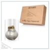 Waxed Amaryllis Bulb - Silver Wax, Blooms Red - Easy Care - No Watering Needed! Beautiful Holiday Decor - Image 10