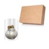 Waxed Amaryllis Bulb - Silver Wax, Blooms Red - Easy Care - No Watering Needed! Beautiful Holiday Decor - Image 20