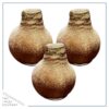 Snow Flecked Waxed Amaryllis Bulb - Beaming Bronze Wax, Blooms Red (3 Plants Per Pack), Easy Care - No Watering Needed! Beautiful Holiday Decor - Image 2