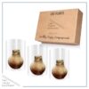 Snow Flecked Waxed Amaryllis Bulb - Beaming Bronze Wax, Blooms Red (3 Plants Per Pack), Easy Care - No Watering Needed! Beautiful Holiday Decor - Image 9