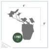 Live Evergreen Perennial - English Ivy - 2 Plants Per Pack - Beautiful Groundcover - 6" Tall by 4" Wide in 1 Pint Pot - Image 4