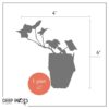 Live Evergreen Perennial - English Ivy - 2 Plants Per Pack - Beautiful Groundcover - 6" Tall by 4" Wide in 1 Pint Pot - Image 9