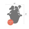 Live Zonal Geranium - Assorted Combo - Beautiful Spring Flowers - 15" Tall by 10" Wide in 1.15 Gallon Whiskey Barrel - Image 9