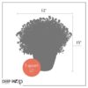 Live Hardy Chrysanthemum in Color Match Deco Cover  - Orange - Colorful Fall Mums - 15" Tall by 12" Wide in 1.15 Gal Deco Pot - Image 8