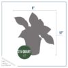 Live Hosta 'Patriot' - Flowering Shade Perennial - Healthy Spring Plant - 12" Tall by 8" Wide in a 2.5 Qt Pot - Image 5