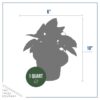 Live Perennial Hosta - Bedazzled (3 Plants Per Pack) - Beautiful Landscape Accent - 10" Tall by 6" Wide in 1 Quart Pot - Image 7