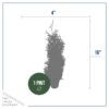 Live Thuja Jantar Tree - Tabletop Christmas Decoration - 16" Tall by 4" Wide in Deco Cover - Image 4