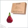Waxed Amaryllis Bulb - Red Wax, Blooms Red - Easy Care - No Watering Needed! Beautiful Holiday Decor - Image 8