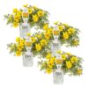 Proven Winners® Bidens - Goldilocks Rocks Yellow - 4 Plants Per Pack - Spring Annual Plant - 8" Tall by 4" Wide in 1.56 PW Pot