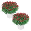 Live Hardy Chrysanthemums in White Pumpkin Deco Pot - Red Mums (2 Plants Per Pack), Beautiful Fall Color, 15" Tall by 12" Wide