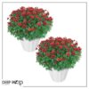 Live Hardy Chrysanthemums in White Pumpkin Deco Pot - Red Mums (2 Plants Per Pack), Beautiful Fall Color, 15" Tall by 12" Wide - Image 10