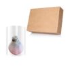 Snow Flecked Waxed Amaryllis Bulb - Pink Wax, Blooms Red - Easy Care - No Watering Needed! Beautiful Holiday Decor - Image 6