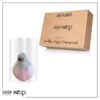 Snow Flecked Waxed Amaryllis Bulb - Pink Wax, Blooms Red - Easy Care - No Watering Needed! Beautiful Holiday Decor - Image 11