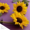 Live Sunflower - Beautiful Spring Flowers - 15" Tall by 10" Wide in 1.15 Gallon Whiskey Barrel - Image 5