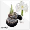 Waxed Amaryllis Bulb in Black Festive Stocking (White Bloom) - Easy Care - No Watering Needed! Beautiful Holiday Decor - Image 14