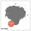 Live Hardy Chrysanthemum in Orange Pumpkin Pot - White - Colorful Fall Mums - 15" Tall by 12" Wide in 3 Qt Deco Pot - Image 11