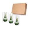 Snow Flecked Waxed Amaryllis Bulb - Grinch Green Wax, Blooms Red (3 Plants Per Pack) - Easy Care - No Watering Needed! Beautiful Holiday Decor - Image 16