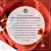 Snow Flecked Waxed Amaryllis Bulb - Grinch Green Wax, Blooms Red (3 Plants Per Pack) - Easy Care - No Watering Needed! Beautiful Holiday Decor - Image 4