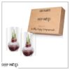Snow Flecked Waxed Amaryllis Bulb - Christmas Red Wax, Blooms Red (2 Plants Per Pack) - Easy Care - No Watering Needed! Beautiful Holiday Decor - Image 23