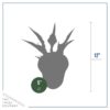 Live Perennial Hosta  - Hands Up (3 Per Pack) - Beautiful Accent Plant - 10" Tall by 6" Wide in 1 Quart Pot - Image 5