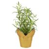 Live Aromatic and Edible Herb - Rosemary - Naturally Improves Breathing - Wrapped in Deco Cover - 14" Tall by 6" Wide in 1.25 Quart Pot