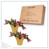 Live Flowering Thanksgiving/Christmas Cactus (Zygocactus) - Red (2 Plants Per Pack) - Beautiful Holiday Décor - 5" Tall by 5" Wide in 1 Pt Pot with Deco Cover - Image 6