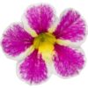 Proven Winners® Calibrachoa - Superbells Holy Cow! - 4 Plants Per Pack - Flowering Spring Annual - 6" Tall by 6" Wide in 1.56 PW Pot - Image 2