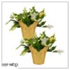 Live Flowering Thanksgiving/Christmas Cactus (Zygocactus) - White (2 Plants Per Pack) - Beautiful Holiday Décor - 5" Tall by 5" Wide in 1 Pt Pot with Deco Cover - Image 11